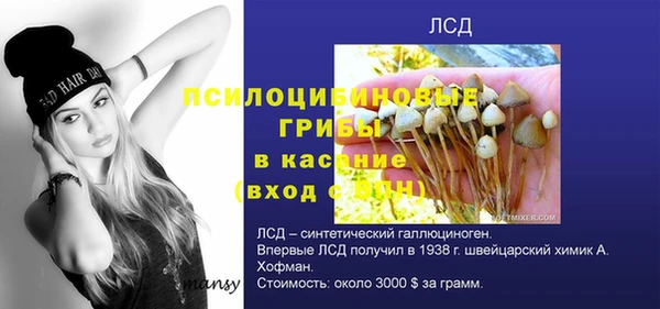 прущий лед Арсеньев