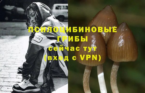 прущий лед Арсеньев