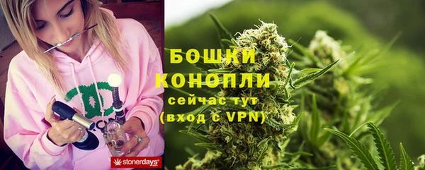 прущий лед Арсеньев