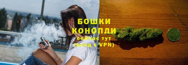 прущий лед Арсеньев